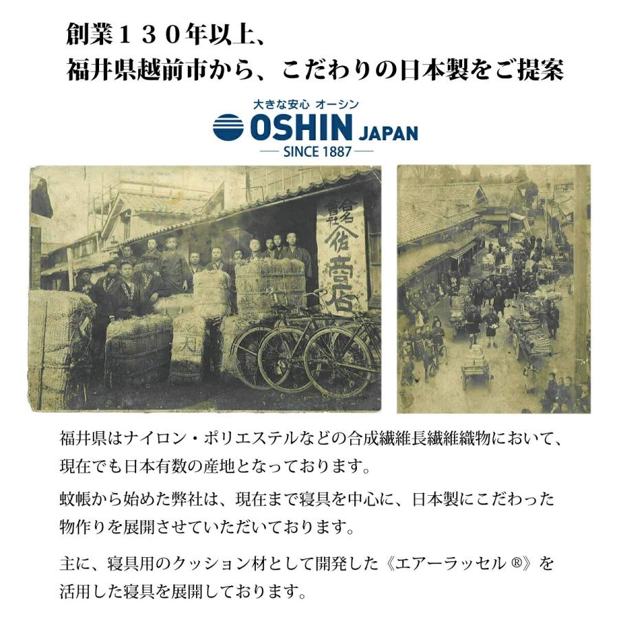 OSHINの歴史