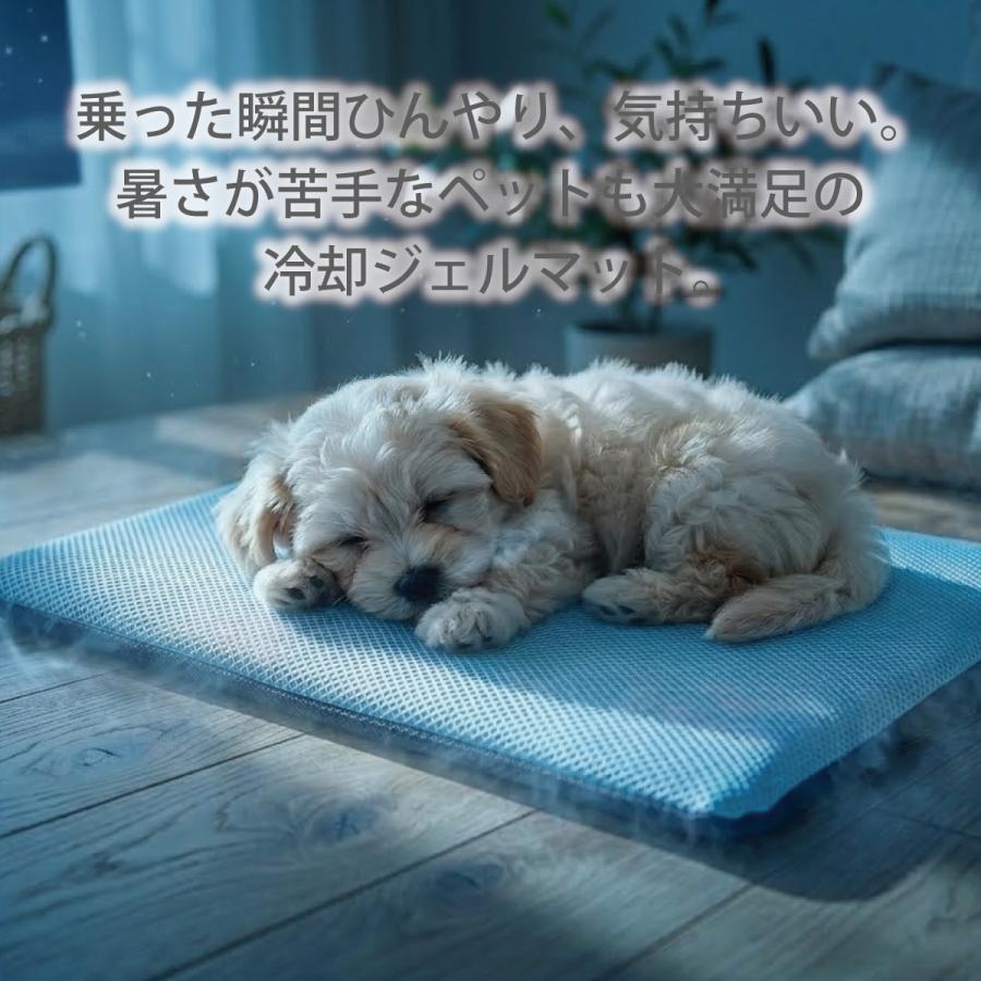 ひんやり 冷却ジェル 冷感 ペット クール マット 乗った瞬間ひんやり気持ちいい 暑さが苦手なペットも大満足の冷却ジェルマット